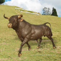 Hot Sale Custom Outdoor handmade cast bronze bull sculpture